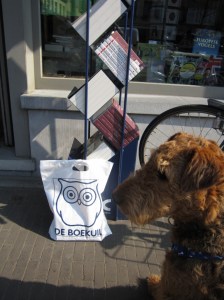 Airedale Kita - boekuil