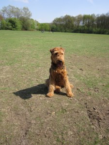 Look a little bit at the other side?  Like this, mum?