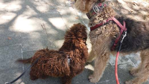 36573678_10216395068138865_2622025311700647936_n